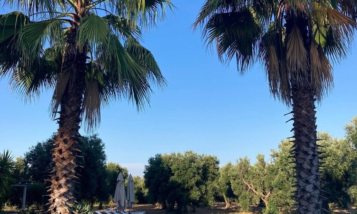 Ceglie Messapica Villa | Casale Dell’Oliveto. A stunning country villa with 15m pool in beautiful setting