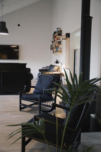 Tauranga Hostel | Hugo & Carters Backpackers & Motel