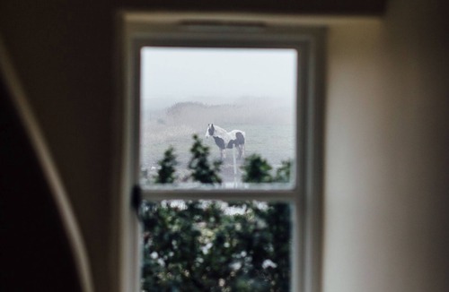 Salthouse Cottage | Gorgeous flint cottage overlooking the marshes, walking distance to beach