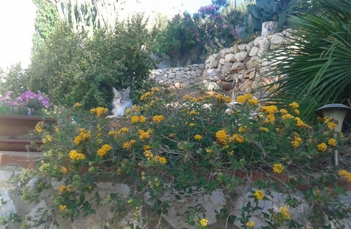 Scopello Villa | Maison de Soleil