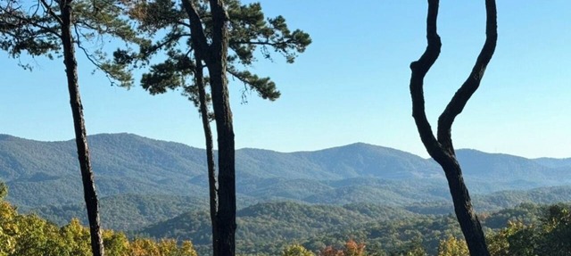 5-Star Cabin-Best Views in GA-Hot Tub-Pups Welcome-15 Min Blue Ridge-Clean in Cherry Log