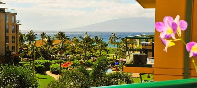 5 Star Oceanview Studio-Honua Kai Resort Konea 437-Beach Access, Pools, in Lahaina