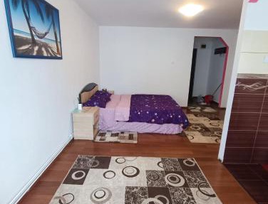 Alexia house in Deva