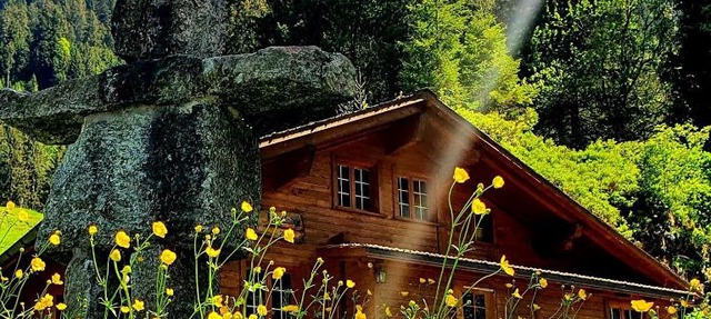 Alpenlodge in Willigen