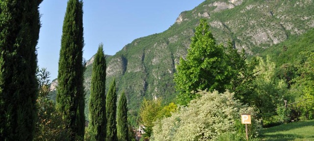 B&B Casa Brunelli in Trento