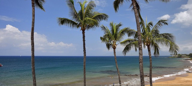 Beachfront Condo E 303/Incredible views/Pickleball/Great Snorkeling in Kihei