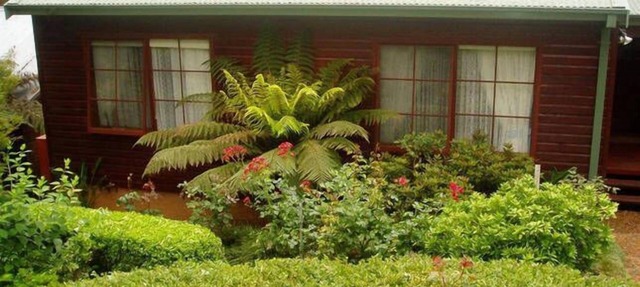 Bluebell Cottage set amongst the trees which attract many native birds. in Leura