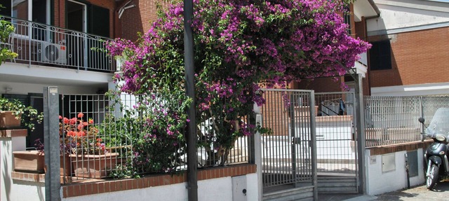 Bouganville by Interhome in Sperlonga