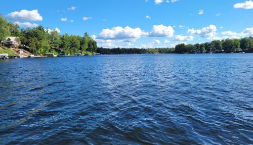 Castaways Cottage on Croton Pond #5 in Newaygo