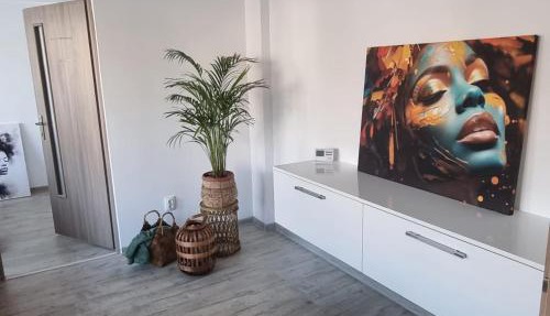 Central View Apartment in Deva