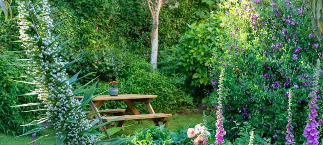 Character Coastal Cottage 5 minutes stroll to Beach/Amenities in gorran haven