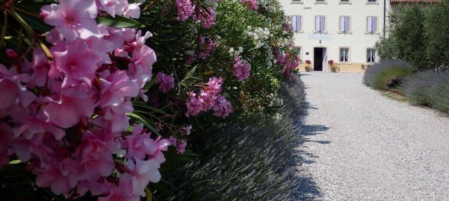Charming B&B between Verona and Lake Garda in Veneto