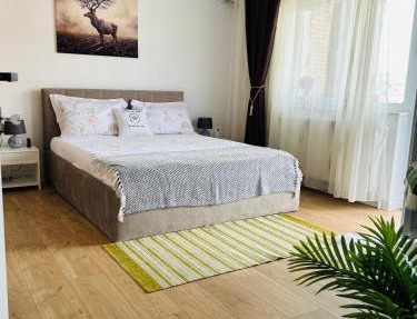 Cosy Nest Deva in Deva