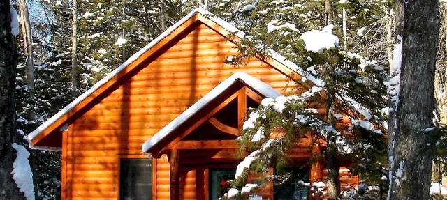 Cozy and pristine timberframe cabin in Ripton