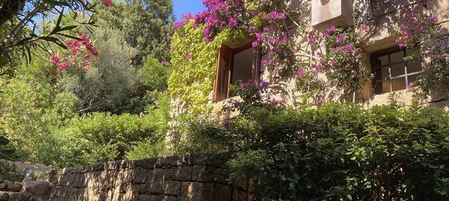 DOMUS OLIVARUM-Costa Smeralda NEW! 7 guest, 3 room, 2 bathroom, 2 PK, Wifi A/C in Sardegna