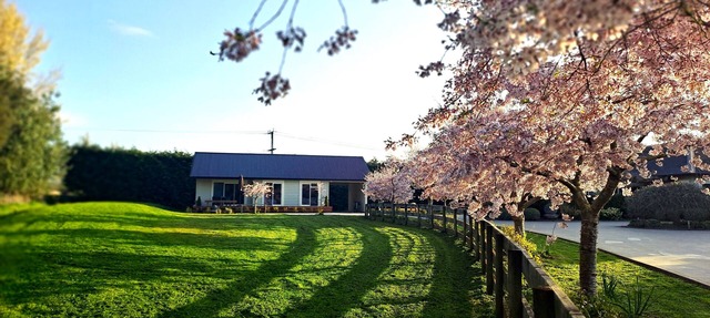 Early Escape-Welcome to our Eco Friendly and Peaceful Escape in Rural Hamilton! in Christchurch