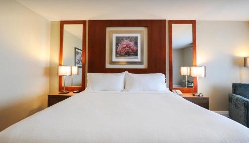 Holiday Inn Niagara Falls-By the Falls by IHG in Niagara Falls