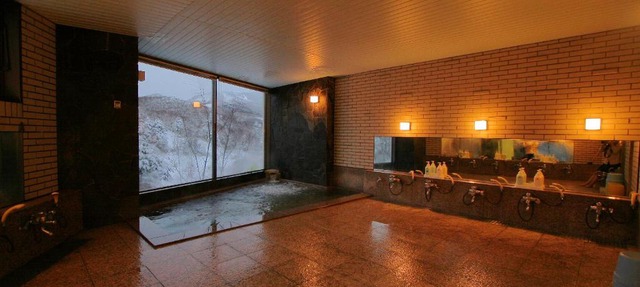 Hotel Araragi in Yamanouchi