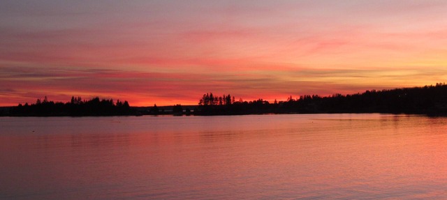 Idyllic, sparkling clean ocean/beach cottage for your spontaneous getaway. in Black Point
