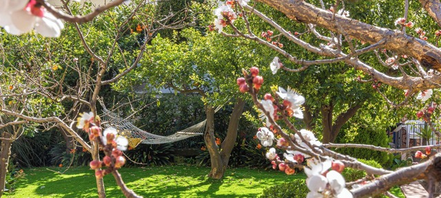 Il giardino dei Gigli, few steps from the sea in Meta
