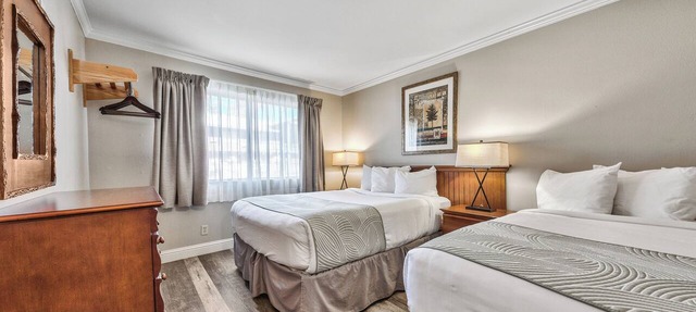 Indulge in Home-Like Comfort! Pet-friendly Property, Free Breakfast! in South Lake Tahoe