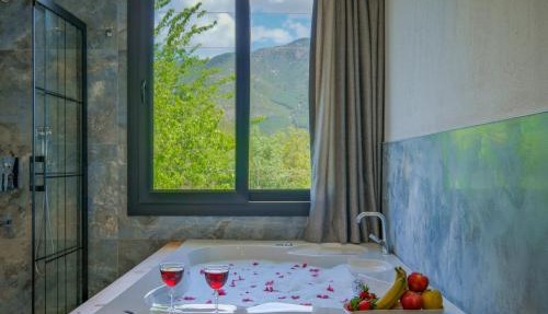 Infinity Olive Villa