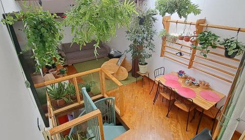 la casa verde nel centro storico in Livorno