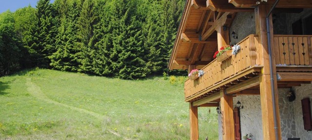 Le Antiche Orme in Pievepelago