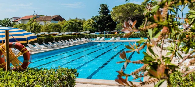 Lovely apartment for 6 guests with WIFI, A/C, pool, TV and patio in Bibbona