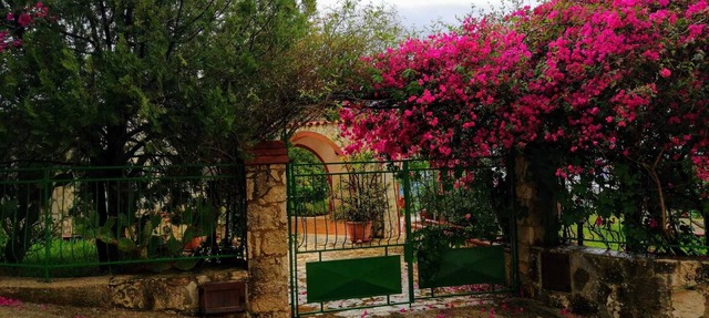 Maison de Soleil in Scopello
