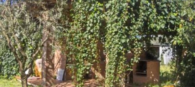 Marina di Ascea: Apartment in Villa dei Limoni – Marina di Ascea in Marina di Ascea