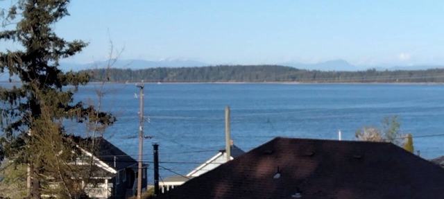 Monkey Tree Cottage, Union Bay, Ocean View, Pet Friendly in Union Bay