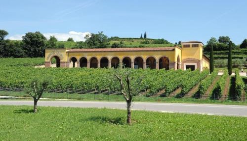 Monte Tondo Winery in Soave