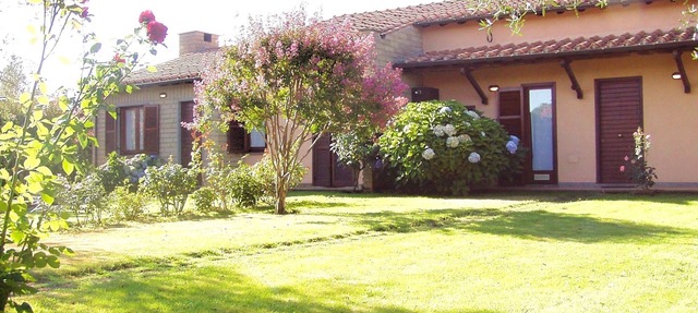 Montecasciano Mimosa in CAPRANICA
