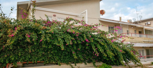 Nice apartment in Kaukana with house sea view in Kaukana