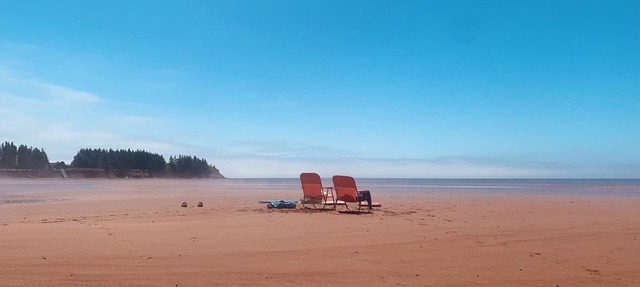 Oceanfront cottage. Steps to the beach, pet & family friendly. . in Borden-Carleton