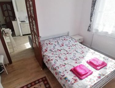 Plopilor - Studio 2nd Floor in Deva