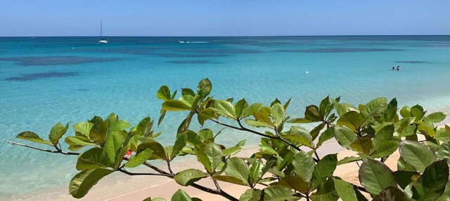 PROMO Beachfront sunsets with Starlink WIFI in Las Terrenas