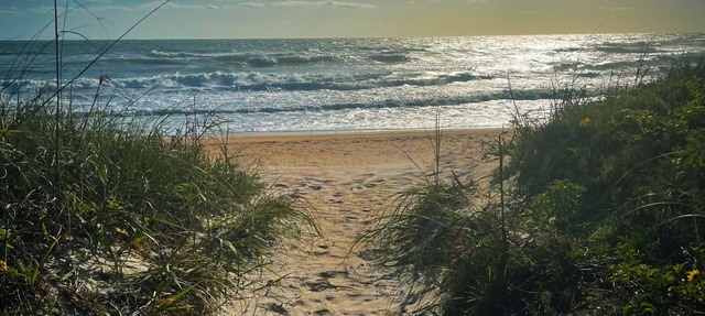 Quaint Ormond By the Sea House - short walk to Beach in Ormond Beach