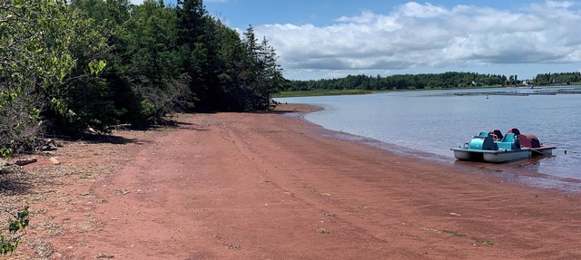Semi-private beach, huge screened in deck, woods on fenced in property. in Foxley River