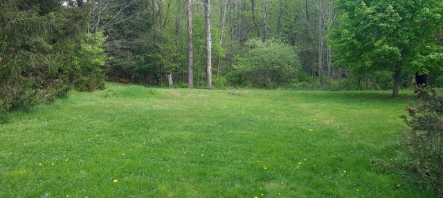 Serene Creek Frontage in Mildred