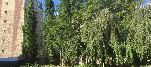 Studio Eulalie in Paris