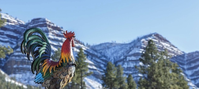 The Rustic Rooster Inn, Breathtaking Views, Between Downtown Durango & Purgatory in Durango