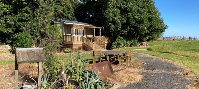 The Treehut in Ohauiti