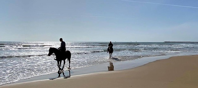 This lovely vacation home is wonderful for those who want to experience the sea. in Santa Croce Camerina
