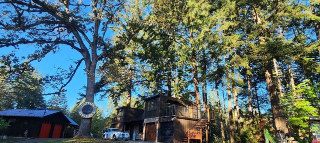 Unique experience, forest house, wild life viewing, Hot Tub/fire pit, pool tbl. in Duncan