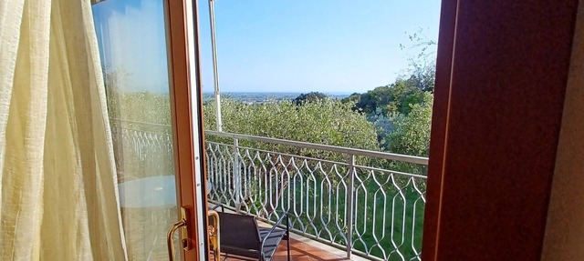 Verde Mare apartment with sea view surrounded by ancient olive trees animals allowed in Rosignano Marittimo