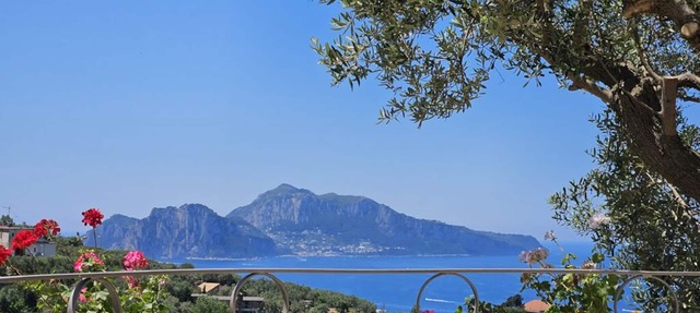 Villa Luci di Capri, Sorrento Coast - New Jacuzzi® Spa, Solar Shower & Lift in Massa Lubrense