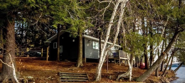 Waterfront Four Season Cottage in the Woods WiFi in Dwight
