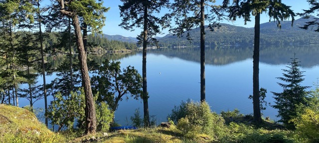 Waterfront! Tiny House Sweet-Suite perched in the forest on the oceanfront. in Sooke